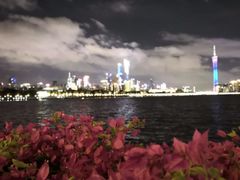 -珠江夜游广州塔·中大码头