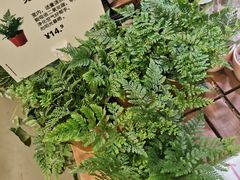 -IKEA宜家家居(南京商场)