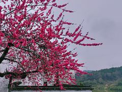 -渔梁坝