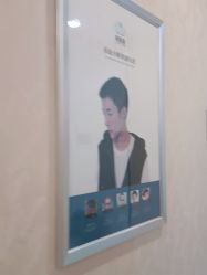 -碧莲盛·不剃发植发