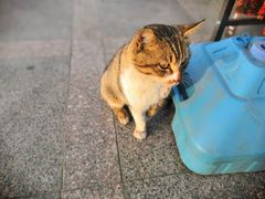 -利群海琴购物广场(商丘路店)