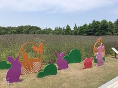 -同里国家湿地公园