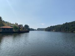 -庐山风景区花径公园