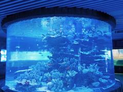 -左海海底世界