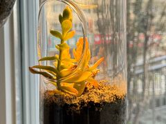 -懒人盐府人家(安贞店)