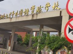 -上海市松江区九里亭外国语实验学校