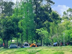 -两河城市森林公园