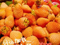 -尚宴牛特鲜自助(太原街万达店)
