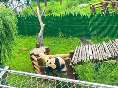 -沈阳森林动物园