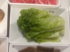 -野妹火锅(南园店)