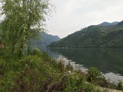 -后柳水乡