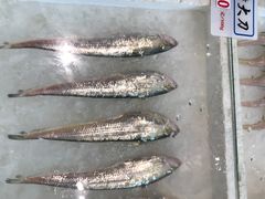 -莆鑫海鲜城(浏河店)