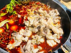 -销魂美蛙鱼头火锅(上海首店)