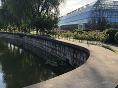 -上海鲜花港
