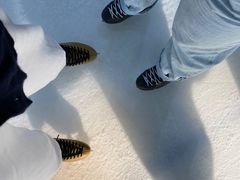 -世界之窗阿尔卑斯冰雪世界