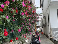 -树山生态村