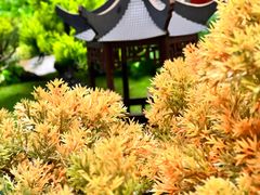 -宾朋海鲜特色美食餐厅·纯手工鲅鱼水饺(兴海路店)