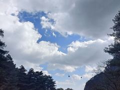 -苍山感通索道