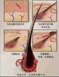 -Bollins波林丝•专研护发中心