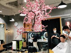 -时尚殿堂明星门店