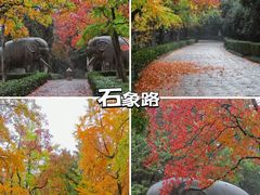 -毗卢寺