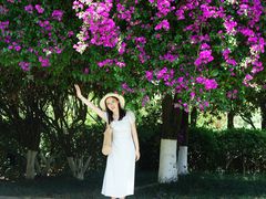 -成都南湖公园