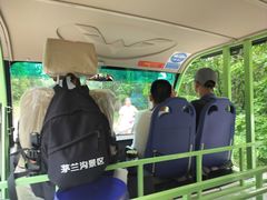 -茅兰沟国家森林公园