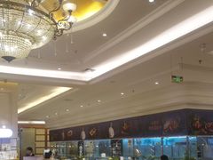 -锦粤宫·精致粤菜(深圳北站店)