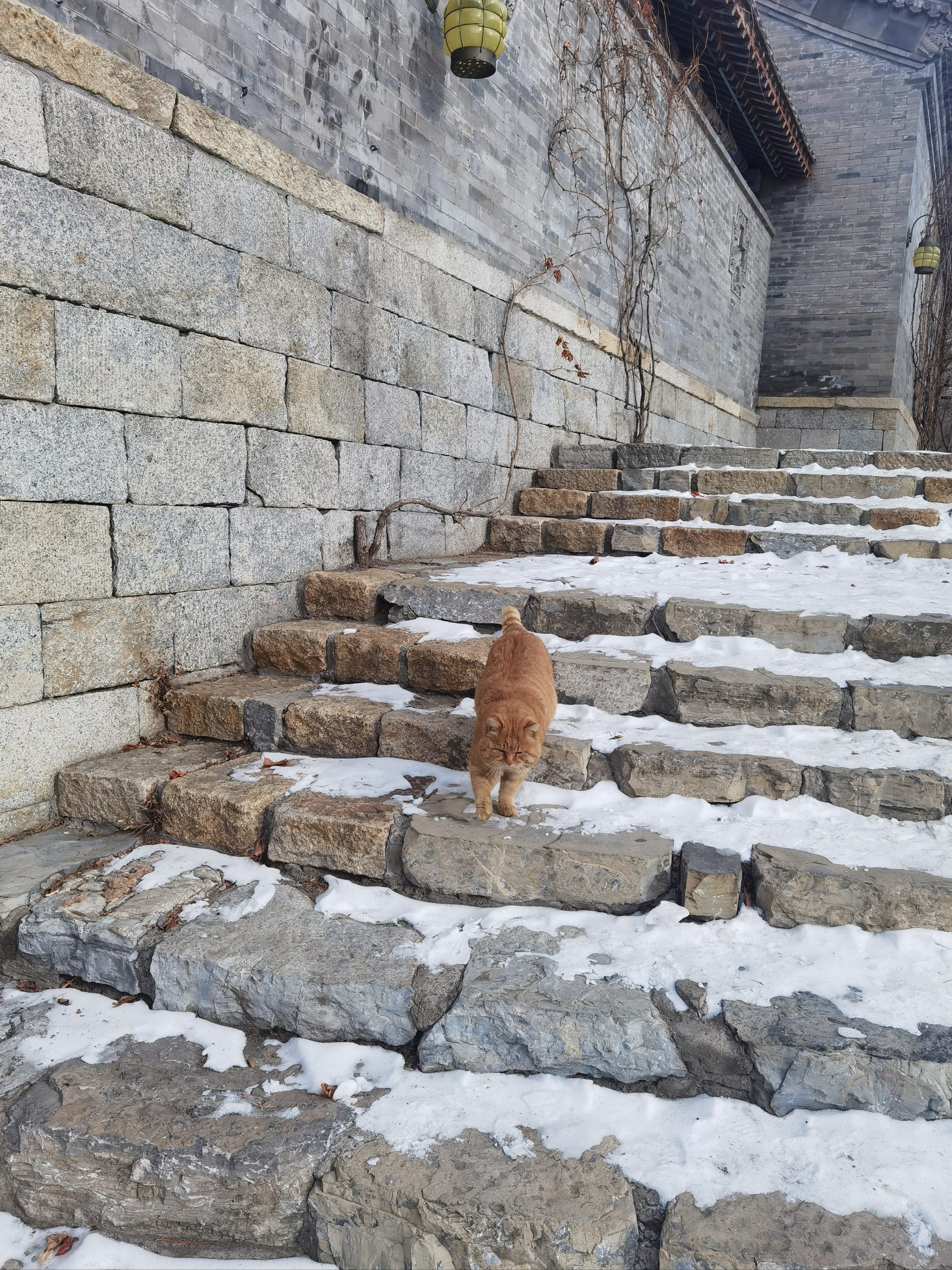 冬天的古北水镇 | 是阳光和冰雪的碰撞
