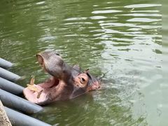-杭州野生动物世界