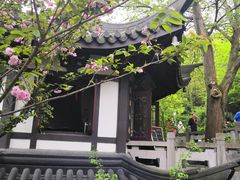 -上海佘山国家森林公园西佘山园