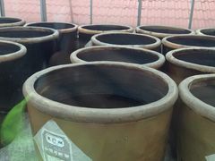 东湖醋园-东湖醋园