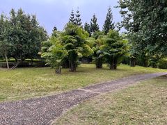 -福建鲤鱼洲酒店