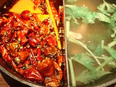 草本鸳鸯锅-盡膳口福跷脚牛肉火锅(晶耀前滩店)