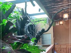 -聚缘堂·海鲜私房菜(松岭路店)