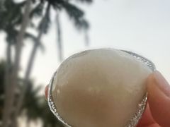 -东郊椰林