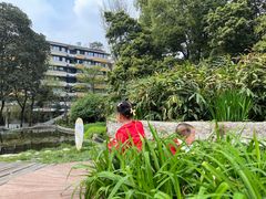 -成都市活水公园