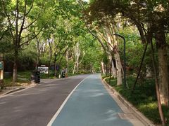 -吴淞炮台湾湿地森林公园烧烤区