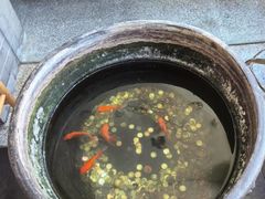 -到家尝北京菜(西坝河店)