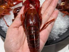 -洪福龙虾