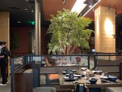-同仁四季椰子鸡(海岸城天利店)