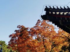 -香山公园