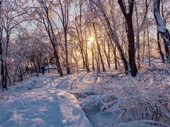 -中旅松花湖滑雪场