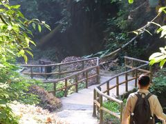 -莫里热带雨林景区