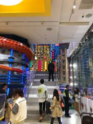 -乐高品牌旗舰店(人民广场店)