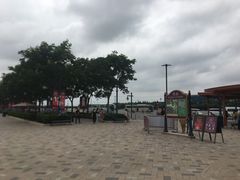-迪士尼乐园停车场