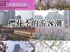 -西北湖绿化广场