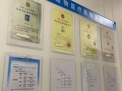 -守诺宠物医院·眼科· 神经外科·爬宠专科(虹口店)
