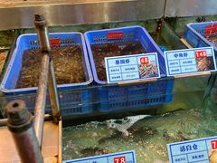 -琼菜王(南海店)