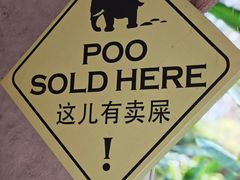 -大象粑粑造纸公园